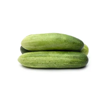 Cucumber  (29)-5323239-55185.webp